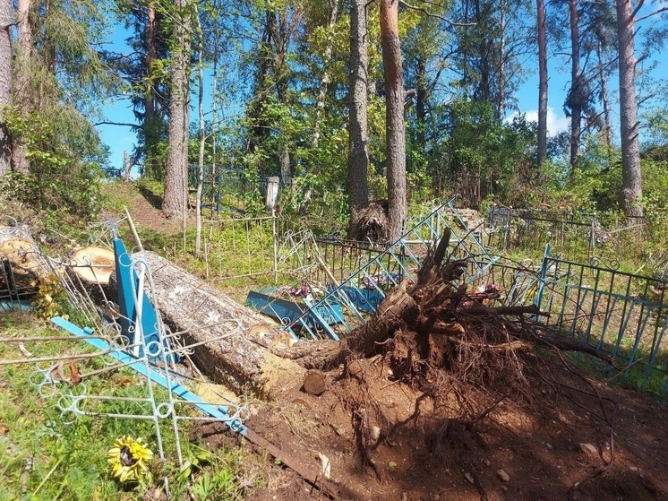 В Тверской области добровольцы пилят деревья на пострадавшем от урагана кладбище