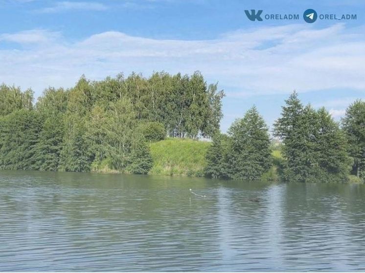 В Орловской области вода на 4 пляжах не соответствует требованиям по микробиологическим показателям