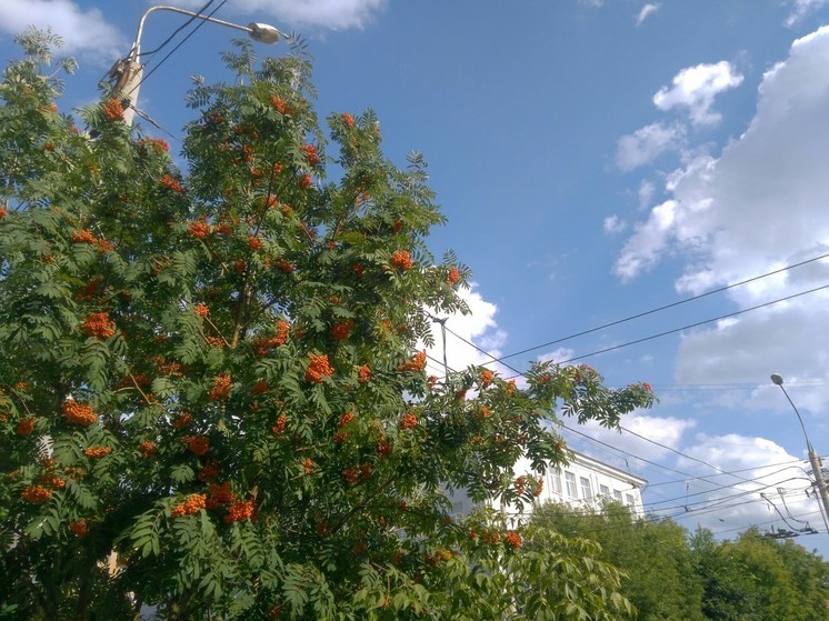 Выходные в Перми будут прохладными и дождливыми