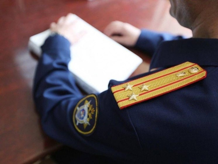 В ДНР двое мужчин сговорились и убили приятеля