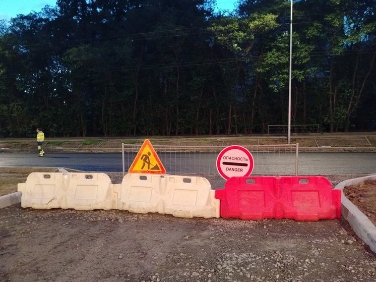Прокуратура провела проверку по факту просадки асфальта в центре Петербурга