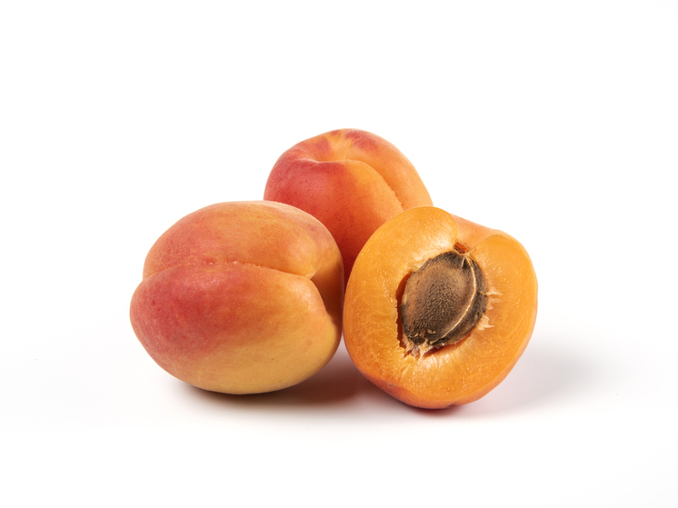 В ДНР обнаружили абрикосовую тлю