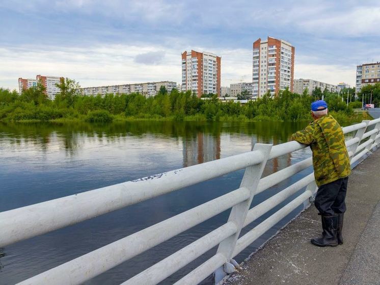 Сотрудники чрезвычайных служб будут помогать бороться с последствиями паводка.