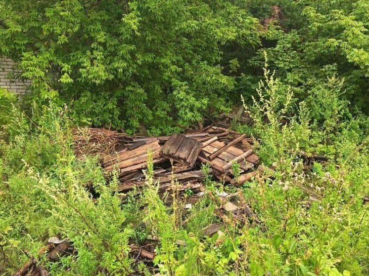 В Нижегородской области досрочно ликвидируют свалки