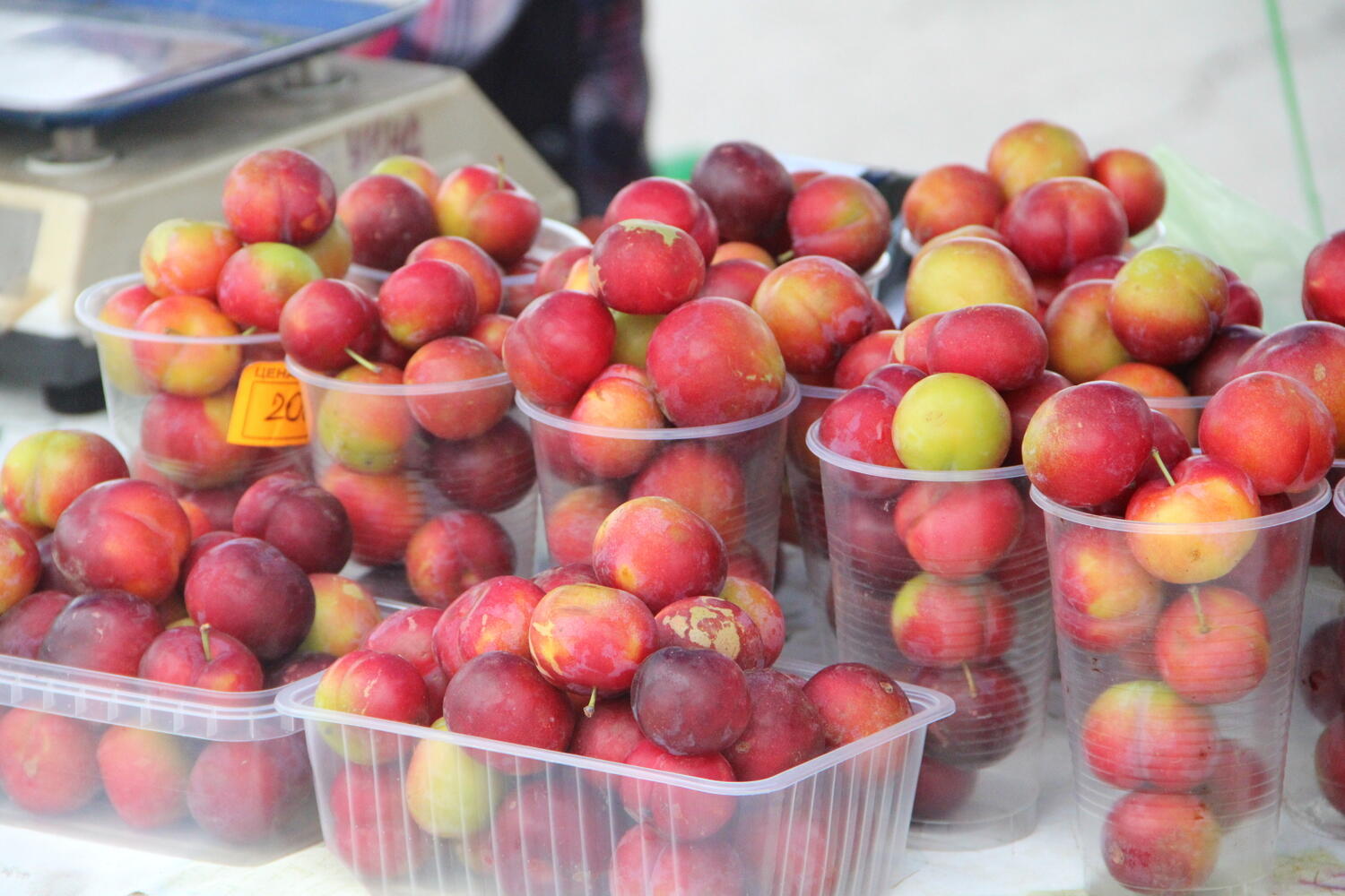 Что продают на ярмарке на арене «Ерофей» в Хабаровске: фото овощей и зелени