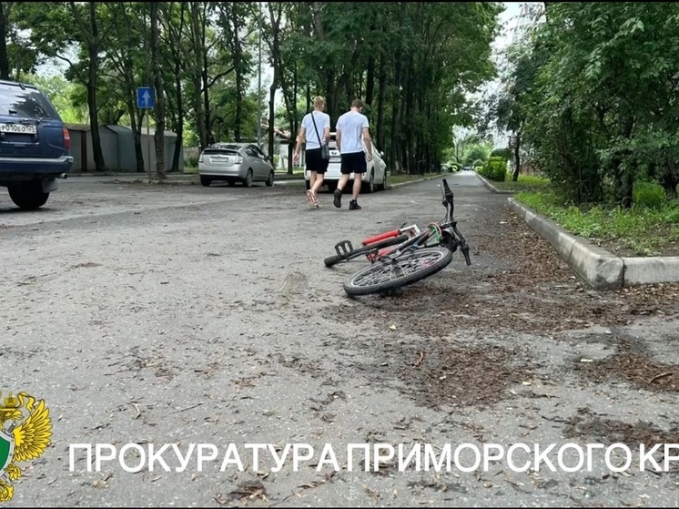 В Приморье разыскивают водителя, сбившего ребенка