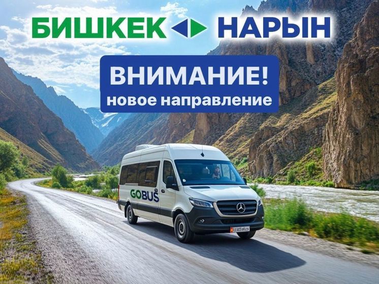 GoBus открывает новое направление – Бишкек-Нарын