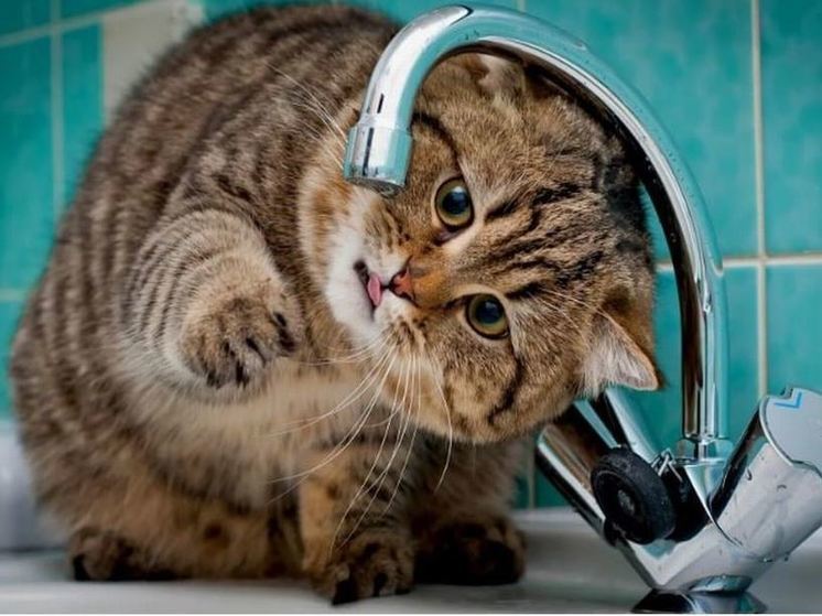 В Орле по некоторым адресам с 6 по 15 августа не будет горячей воды