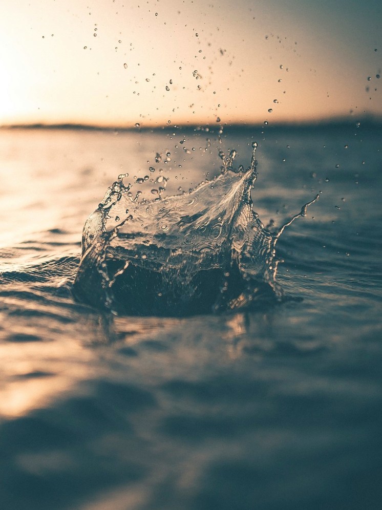 В ДНР в Алексеевском ставке не нашли бытовых стоков