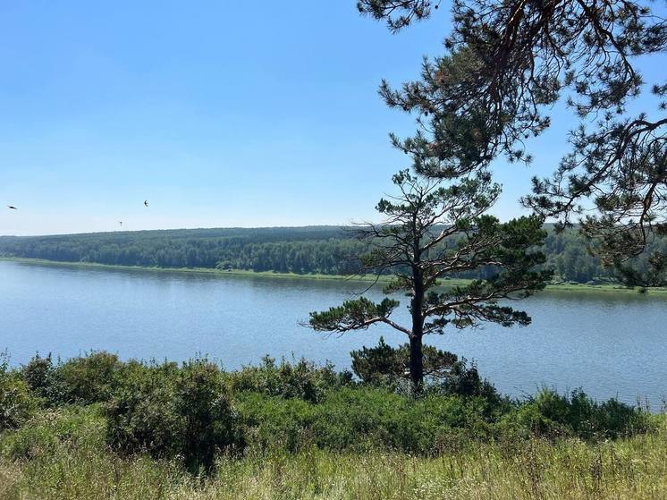 Прокуратура организовала проверку из-за гибели мальчика в реке под Томском