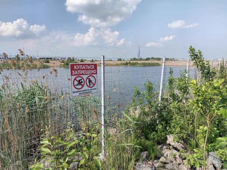 Врачи борются за жизнь мужчины, которого спасатели вытащили из воды у Летнего дворца