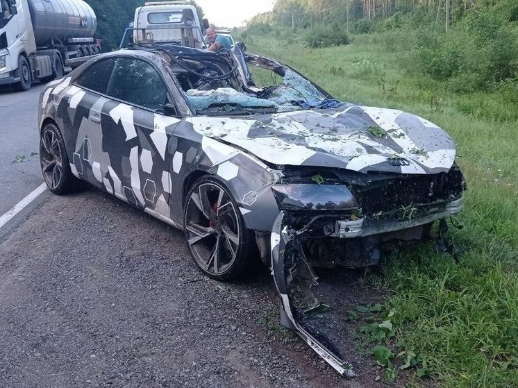 С начала года в Башкирии произошло 58 аварий с участием диких животных