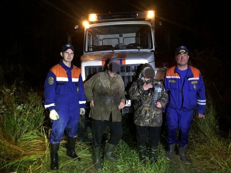 В лесу в Тосненском районе искали двух заблудившихся