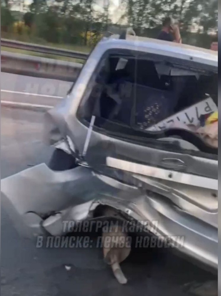 В Пензенской области произошло жесткое ДТП