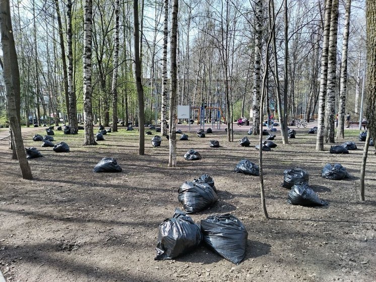 Калининградцев пригласили участвовать в субботнике у озера Тихое в Светлогорске