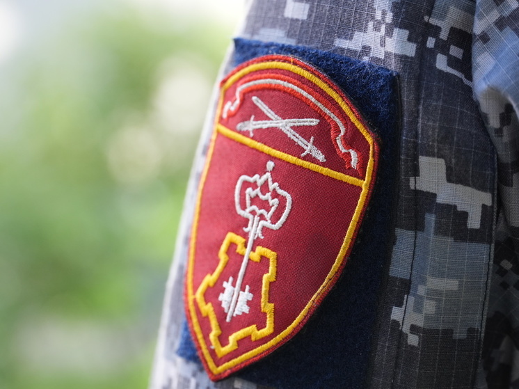 В Няндоме патруль Росгвардии задержал объявленного в розыск мужчину