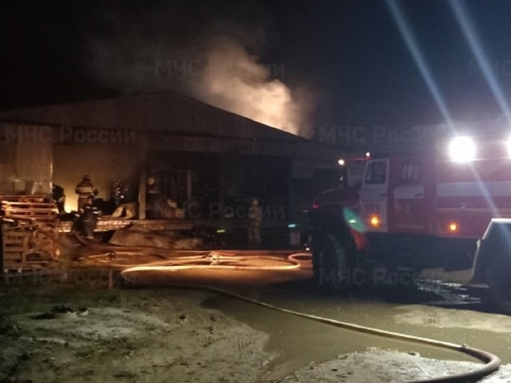 Хозяева мясного магазина рассказали, что сгорело на складе
