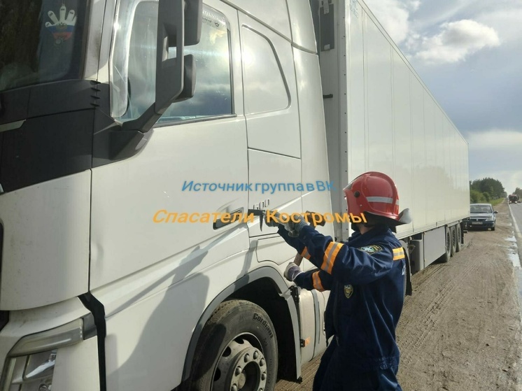 Костромские спасатели предотвратили самоубийство шофера на трассе под Макарьевым