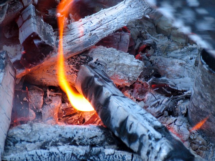 Жителям Подмосковья напомнили о причинах лесных пожаров