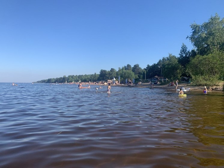 Северяне возмутились поведением отдыхающих на пляже Канентъявр