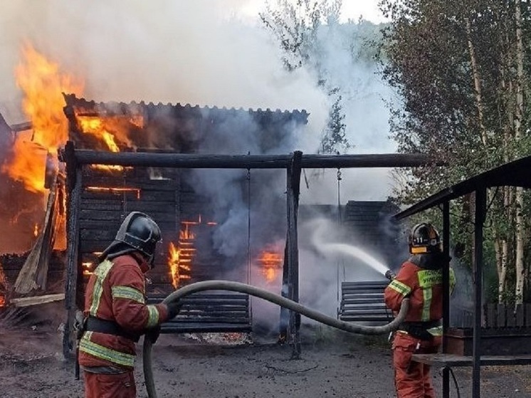 Пожарные спасли из огня 12 кроликов на горнолыжной базе в Мурманске