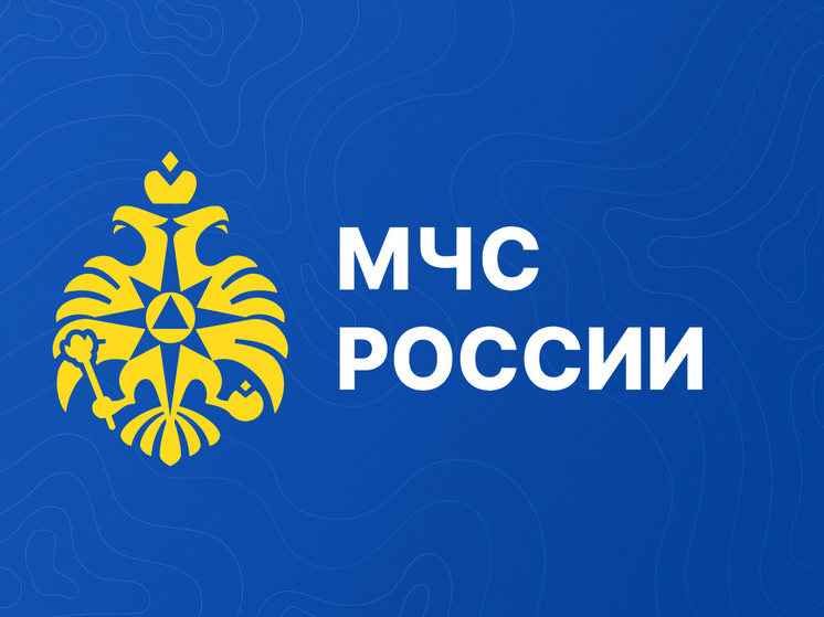 Недалеко от деревни в Тверской области нашли минометную мину