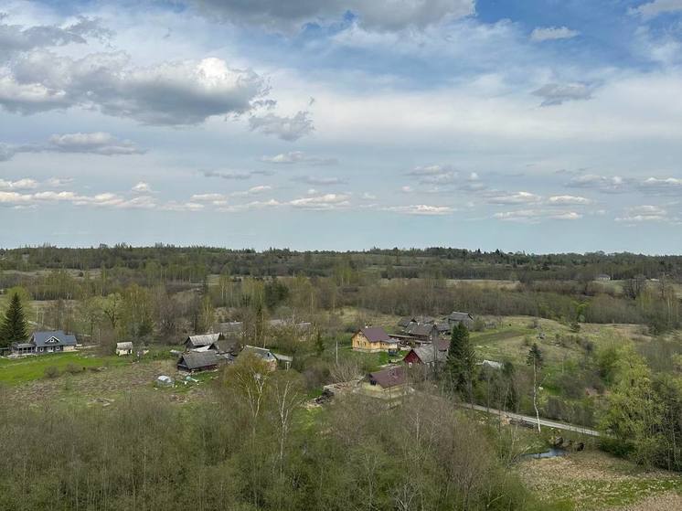 В Гатчинском районе добровольцы спасли женщин, которые заблудились в лесу