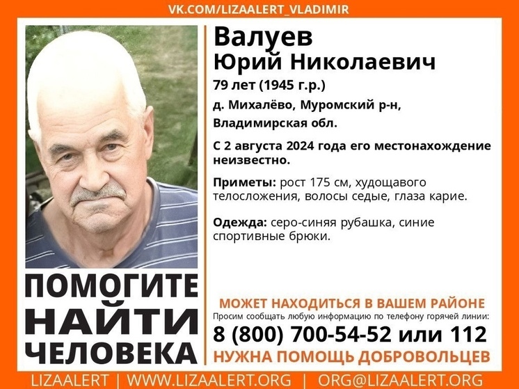 Во Владимирской области уже несколько дней не могут найти пожилого мужчину
