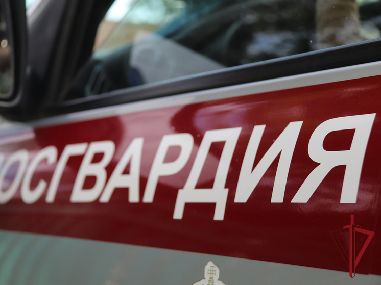 Пьяные забайкальцы вломились в чужую квартиру через балконную дверь