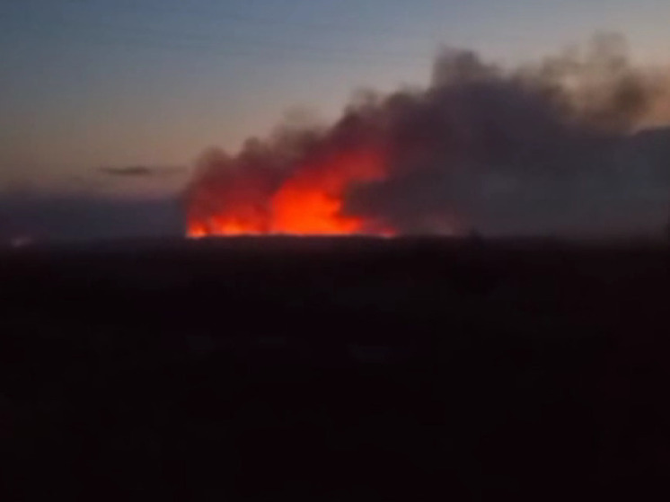 В Алтайском крае около села загорелась мусорная свалка