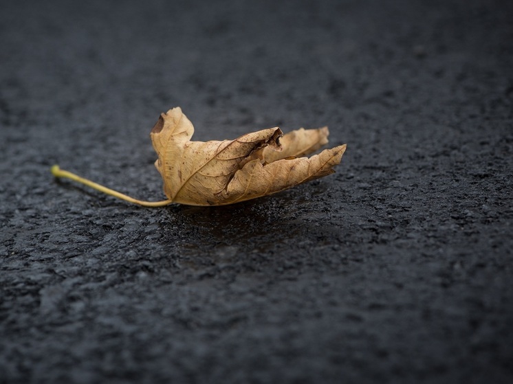 Матери погибшего солдата помогут с ремонтом дороги в Хабаровском крае