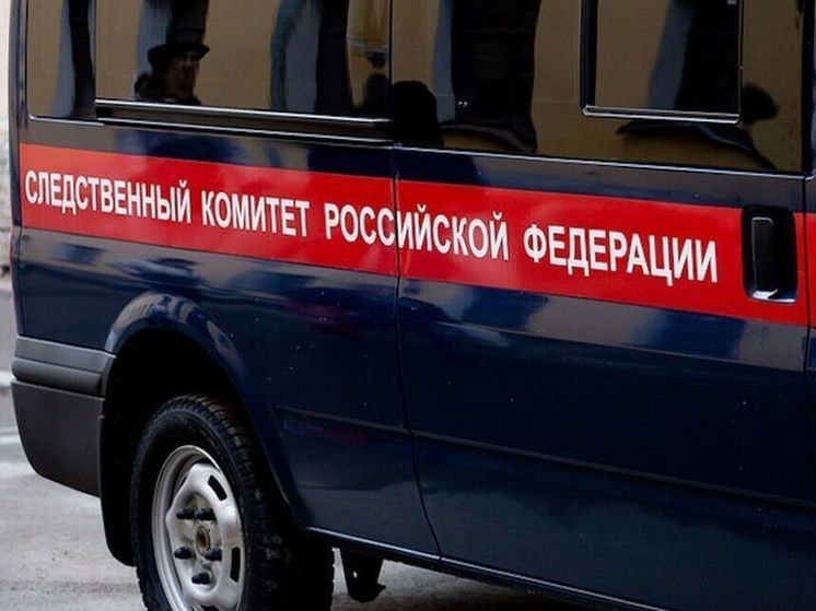 Во Владимирской области под следствие попали "лесные" контрабандисты