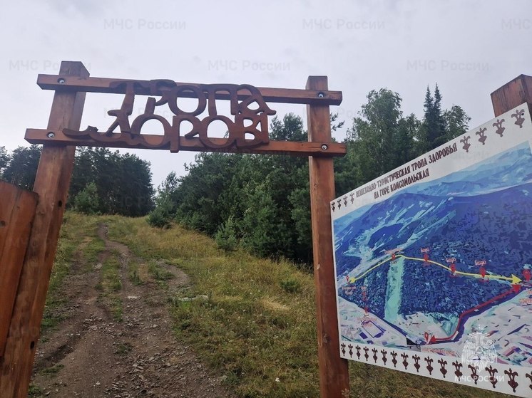 На Алтае  во время непогоды на мужчину рухнуло дерево