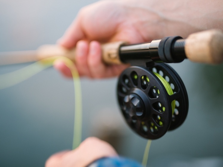 Сенаторы подняли вопрос об облегчении жизни рыбакам Хабаровского края