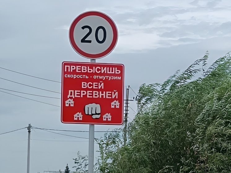 Способ бороться с нарушителями ПДД придумали под Новосибирском
