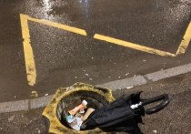 В начале недели в большинстве районов ожидаются кратковременные дожди, переходящие в ливни, а также грозы.
