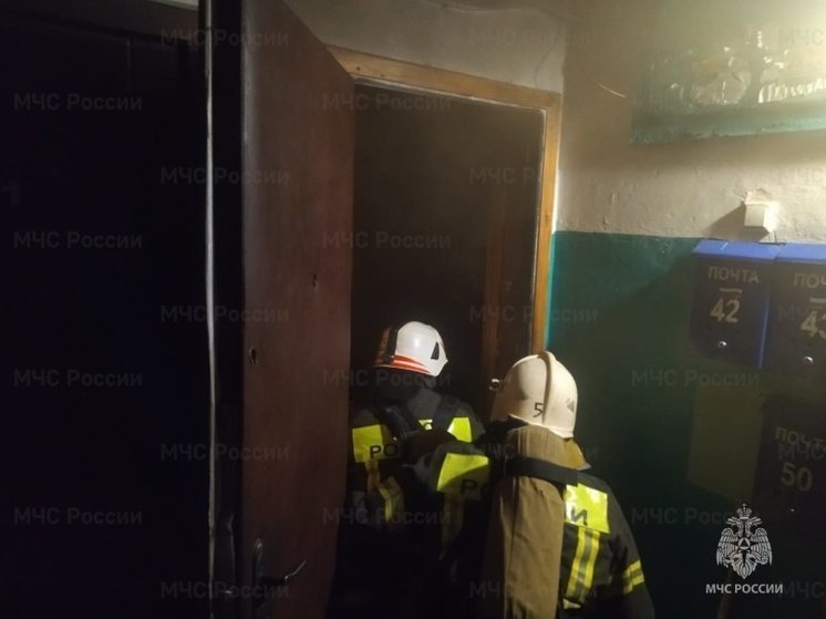 Четырех человек спасли из горящей квартиры в Новомосковске
