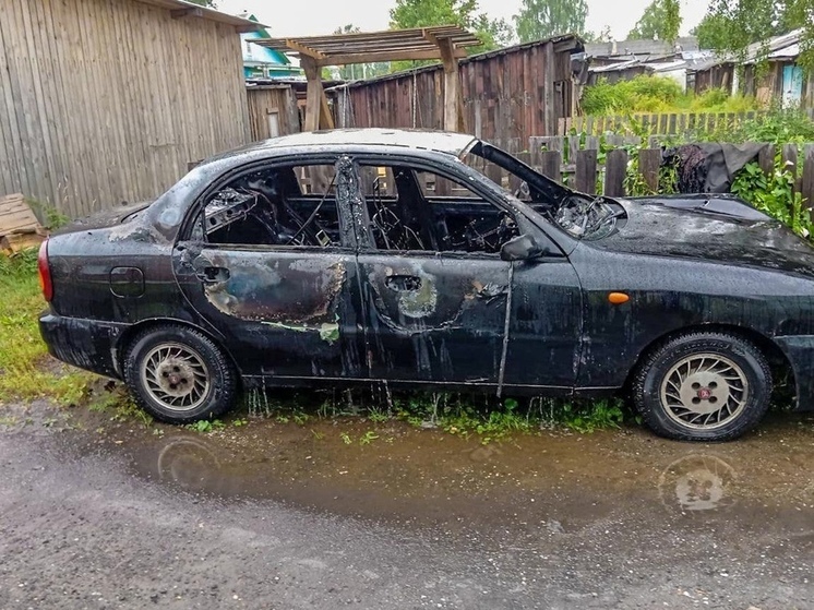 В Вельском районе горела иномарка