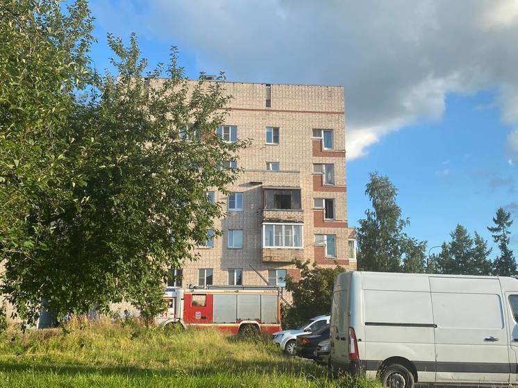 Пожарно-спасательные подразделения ликвидировали несколько происшествий за сутки