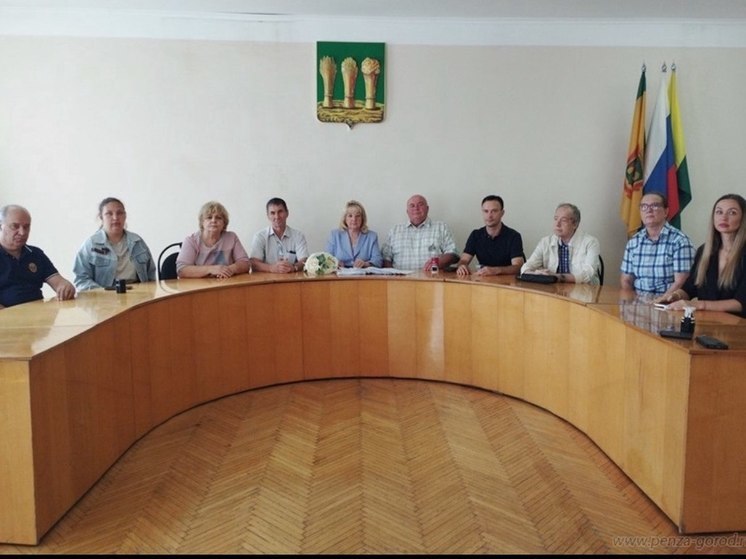 В Первомайском районе Пензы реализуют 8 социально-значимых проектов