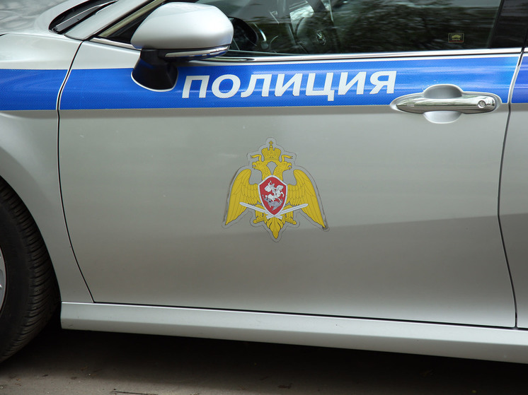 Двоих мигрантов, которые приставали к девочке, задержали