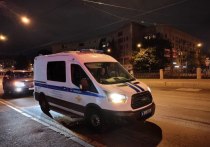 В поселке Парголово сотрудники полиции задержали подозреваемых в драке, произошедшей у дома 25 по Заречной улице. Инцидент, в котором использовались нож и строительные инструменты, был зафиксирован в ночь с 3 на 4 августа.