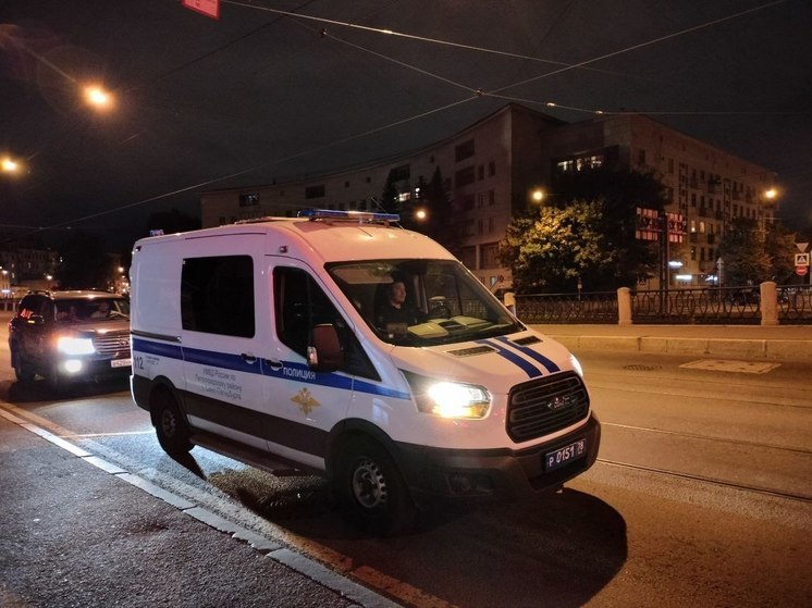 В Парголово полиция задержала подозреваемых в драке с применением ножа и гвоздодера