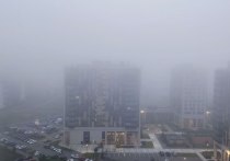 В ближайшие часы Ленинградская область окажется под воздействием сильного тумана, что приведет к значительному снижению видимости. В связи с этим ГУ МЧС по Ленобласти предупредило о желтом уровне опасности.