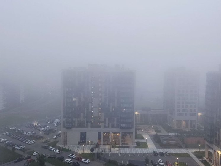 В Ленобласти объявлен желтый уровень опасности из-за сильного тумана