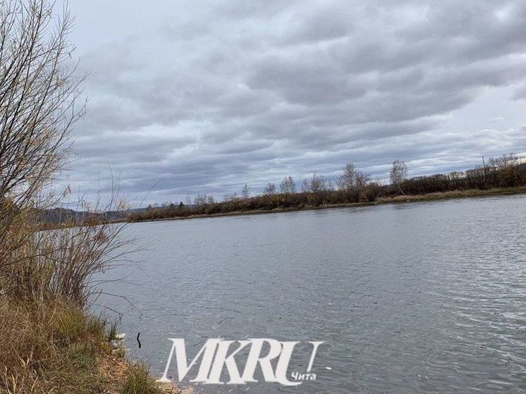 Мост чуть не смыло паводком в районе Забайкалья