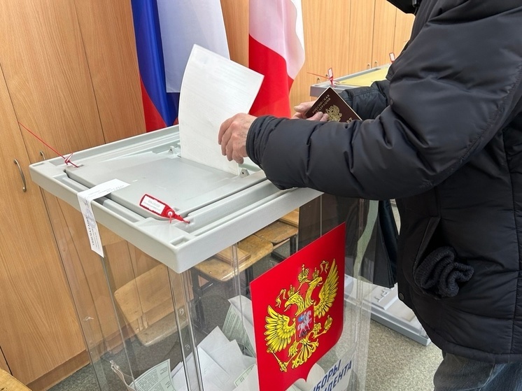 Члены участковых избирательных комиссий в Вологде проходят обучение