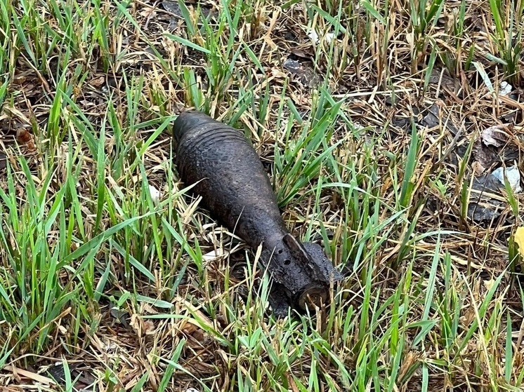 В Починковском районе нашли мину времен войны