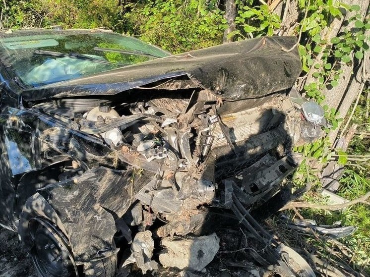 Парень и девушка попали в реанимацию после аварии в Кандалакшском районе