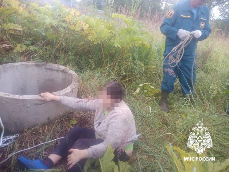 В Тверской области женщина упала на глубину 13 метров во время сбора яблок